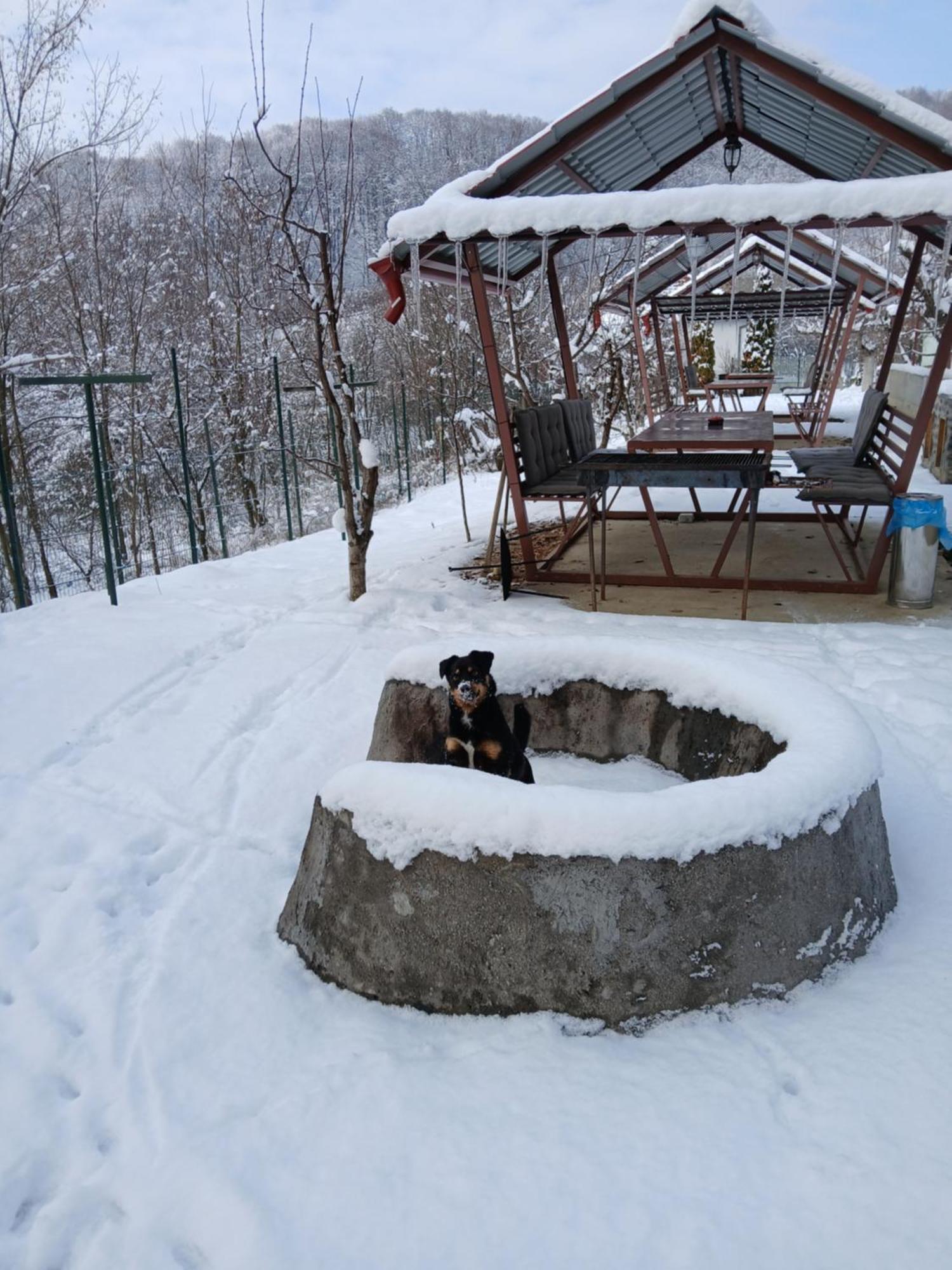 Perla Argesului, Ciubar, Piscina, Lift, Gratar, Cabana, Pensiuni, Hotel Cazare Transfagarasan Curtea De Arges Albestii de Arges エクステリア 写真